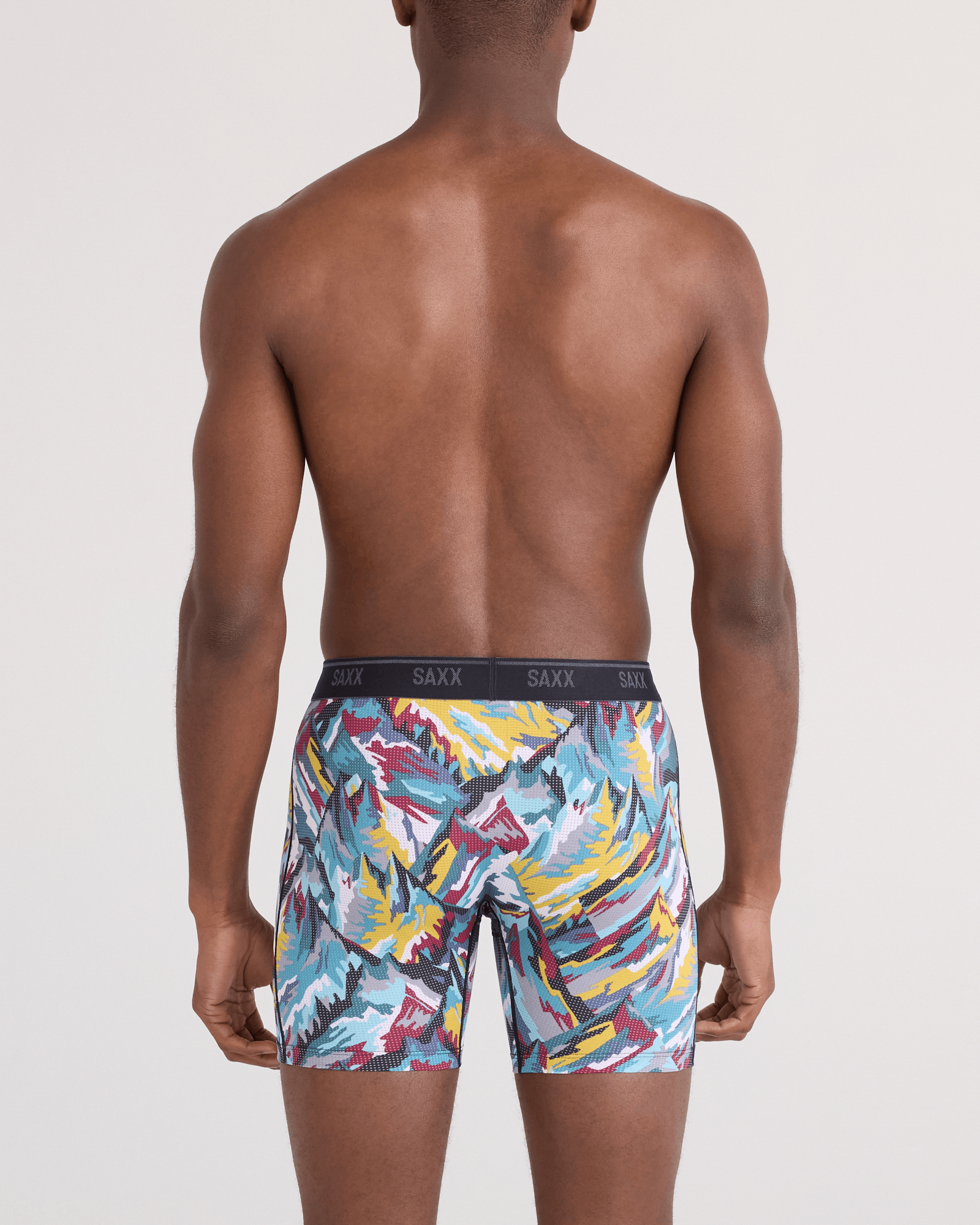 Back - Model wearing Quest Quick-Dry Mesh Boxer Brief Fly in Prism Peaks-Multi