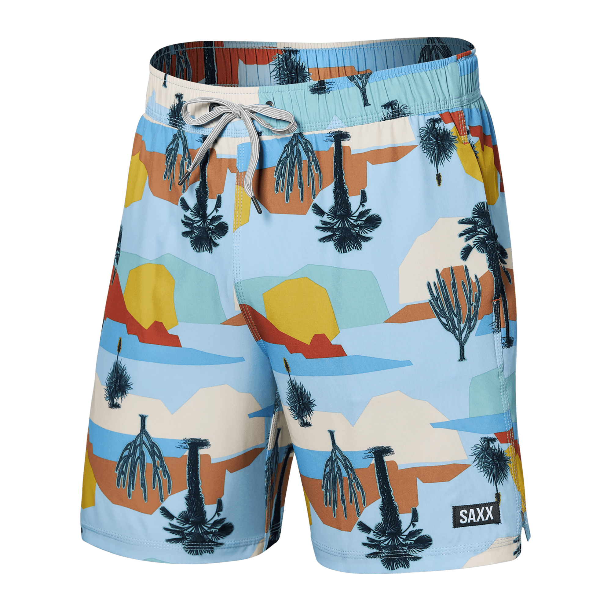 Saxx swim trunks canada discount