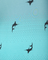 Pattern of black fish on a blue background with circular designs