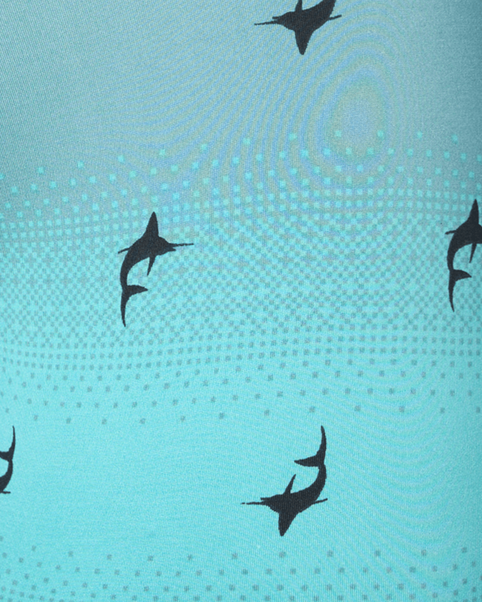 Swatch of Sailfish Ombre-Turquoise