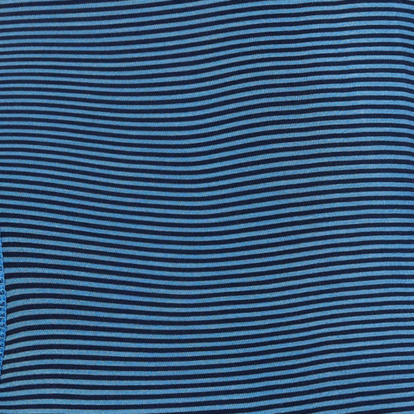Swatch of Mini Stripe- Granada Sky