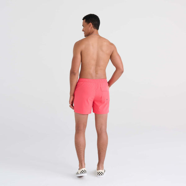 Back - Model wearing Oh Buoy 2N1 Swim Trunk 5" in Hibiscus