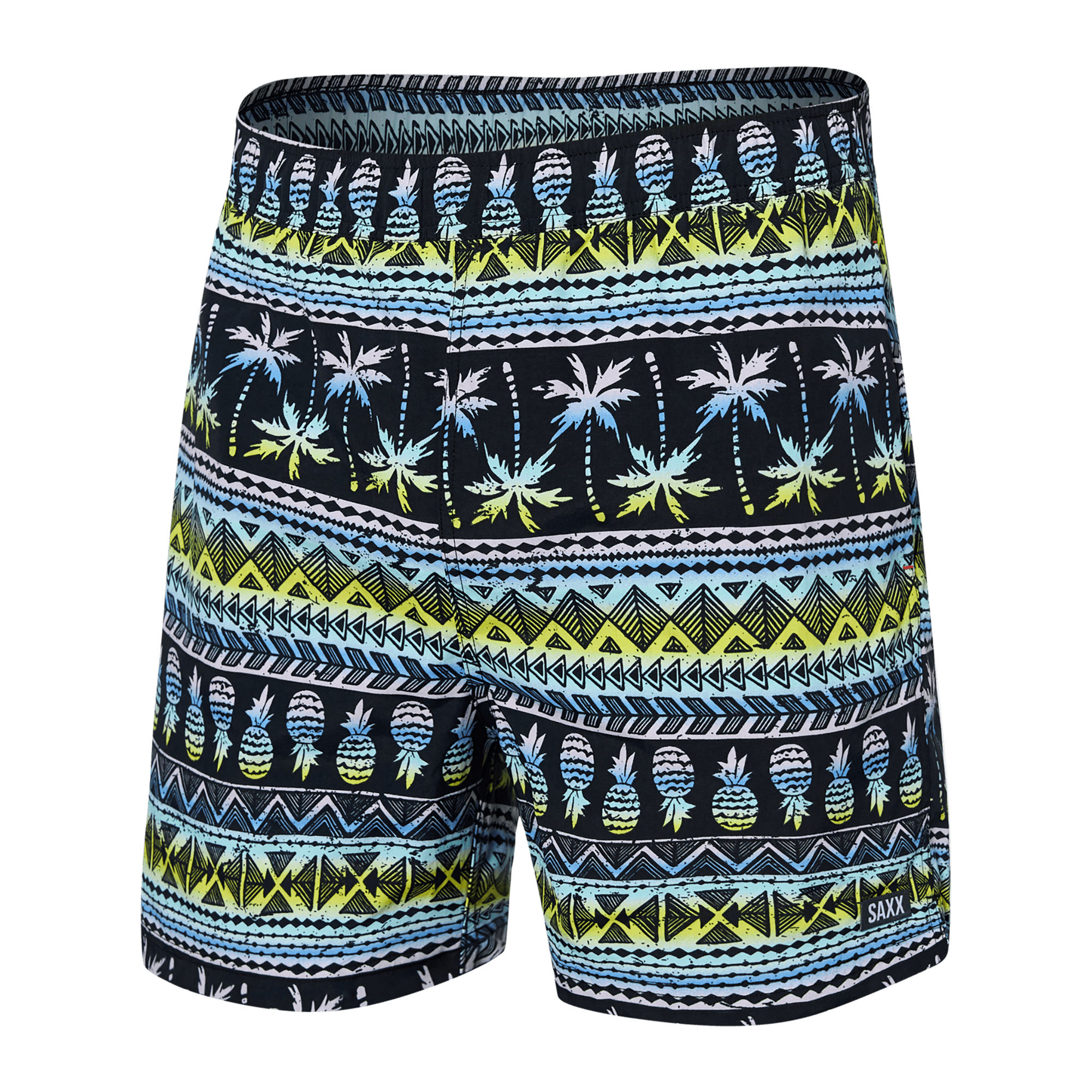 Front of Go Coastal 2N1 Swim Volley 5" Inseam in Pina Stripe- Black Multi