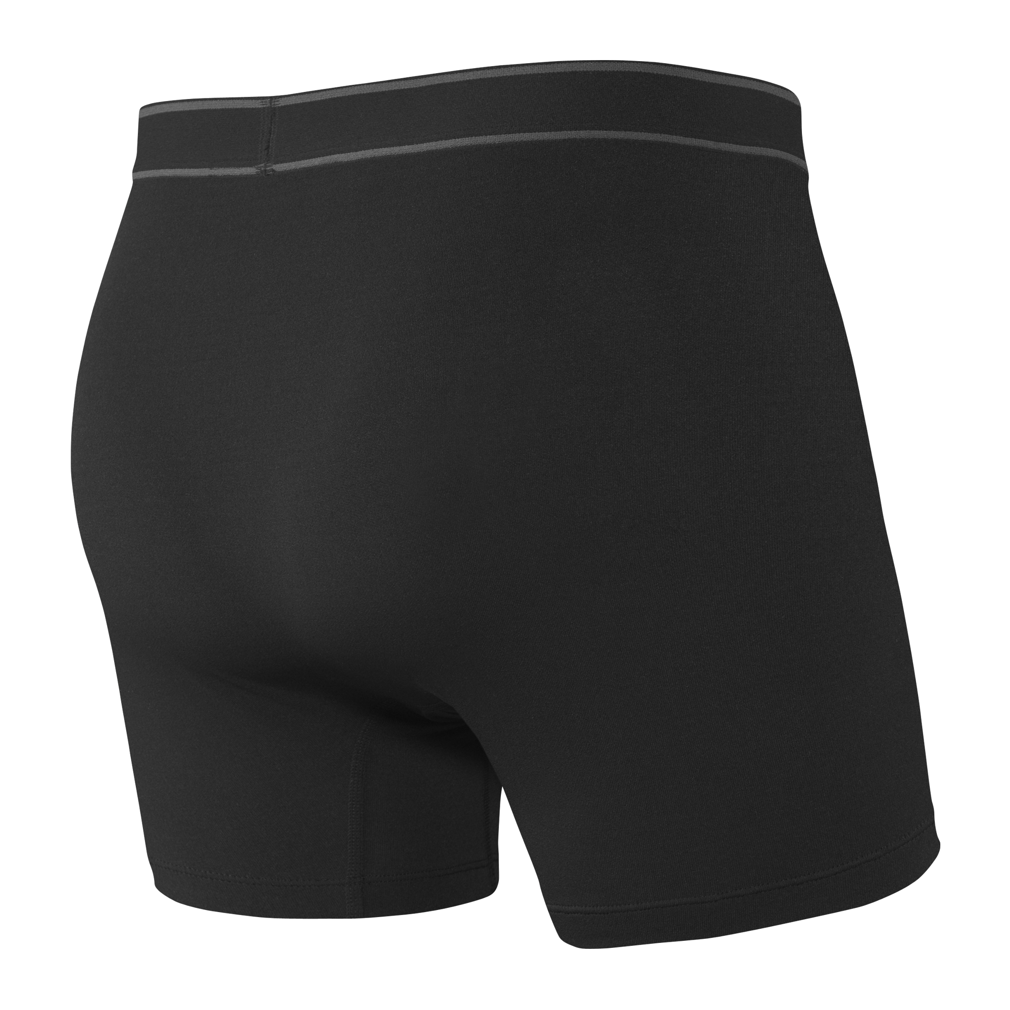 Back of Daytripper Boxer Brief Fly in Black