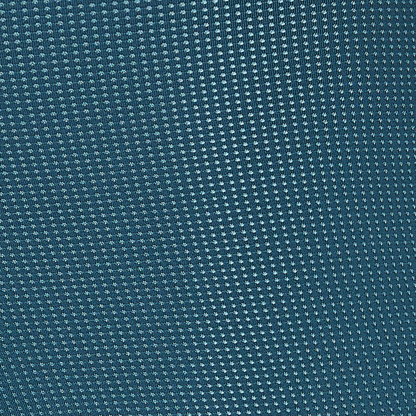 Swatch of Storm Blue