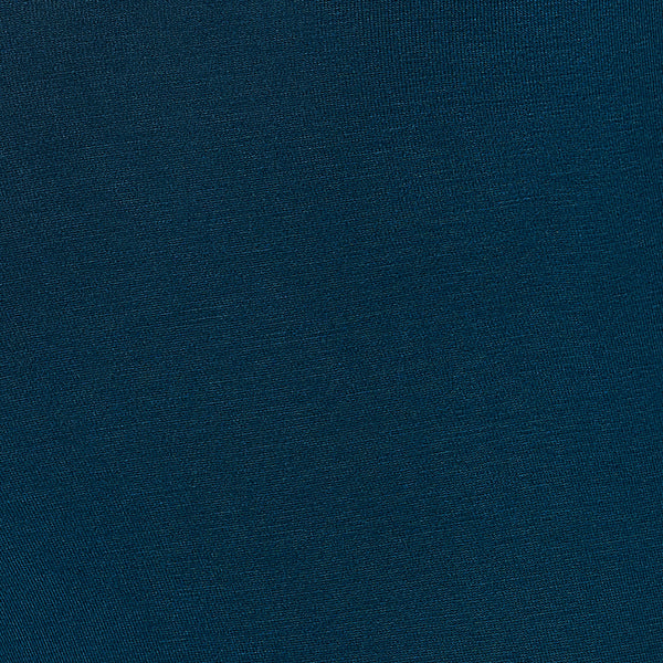 Swatch of Anchor Teal