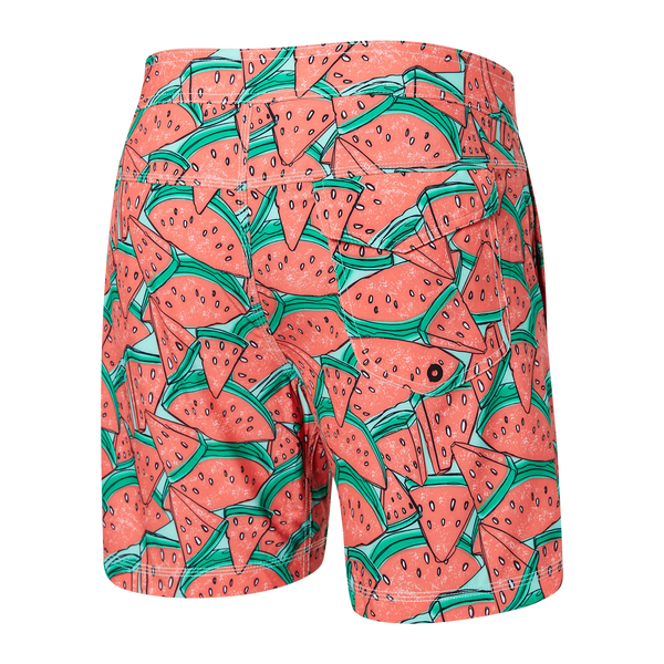Back of Betawave 2N1 Swim Board Short 17" in Mega Melon- Multi